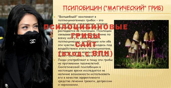 mdma Бородино