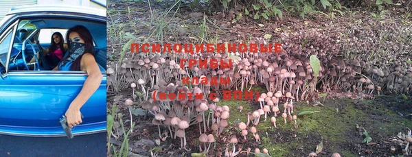 mdma Бородино